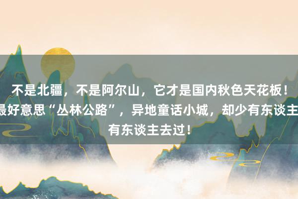 不是北疆，不是阿尔山，它才是国内秋色天花板！坐拥最好意思“丛林公路”，异地童话小城，却少有东谈主去过！