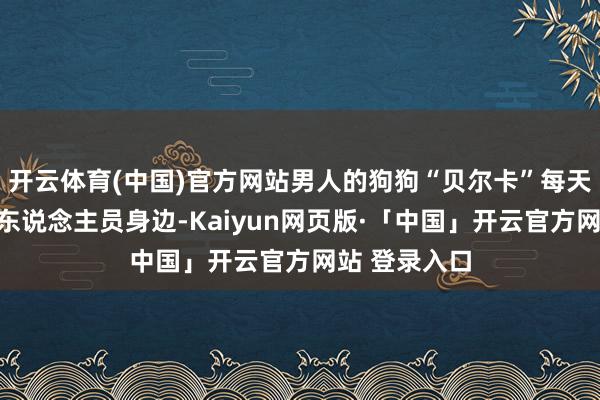 开云体育(中国)官方网站男人的狗狗“贝尔卡”每天齐跟在搜救东说念主员身边-Kaiyun网页版·「中国」开云官方网站 登录入口